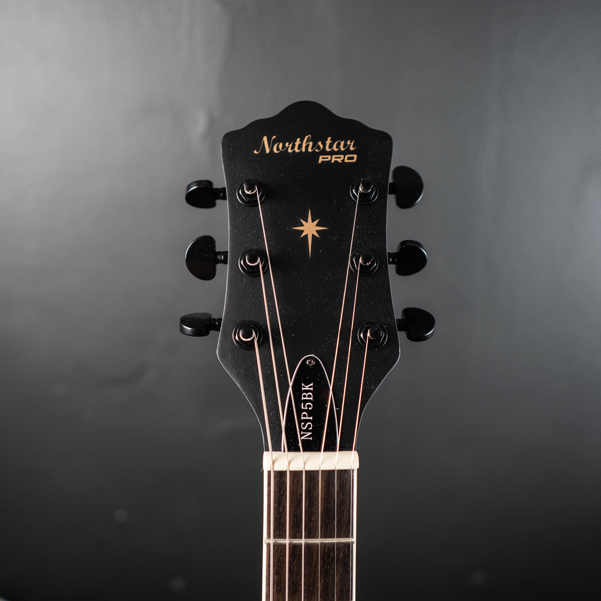 Northstar Pro NSP5BK Open Pore Black