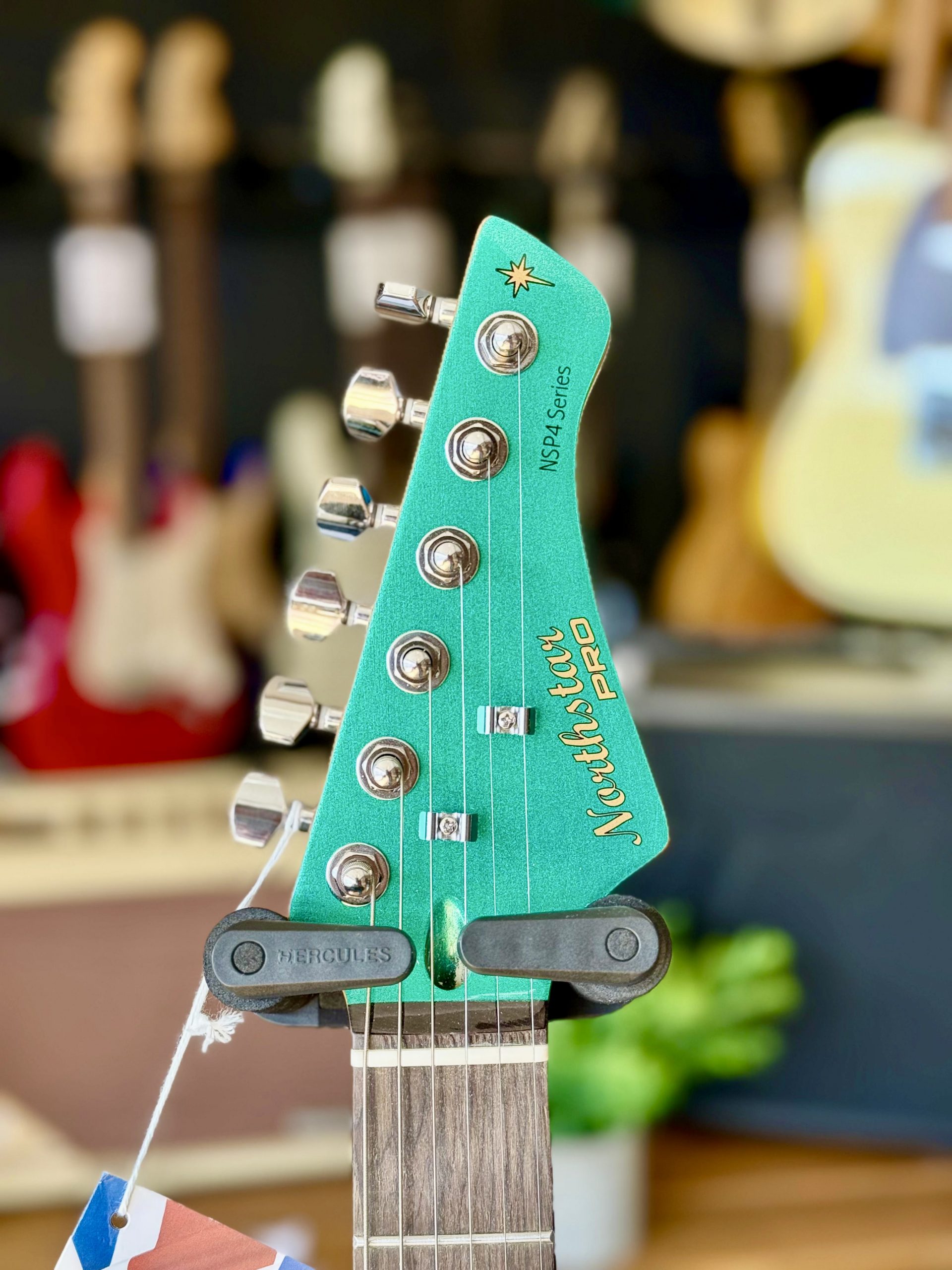 Northstar Pro NSP4EG