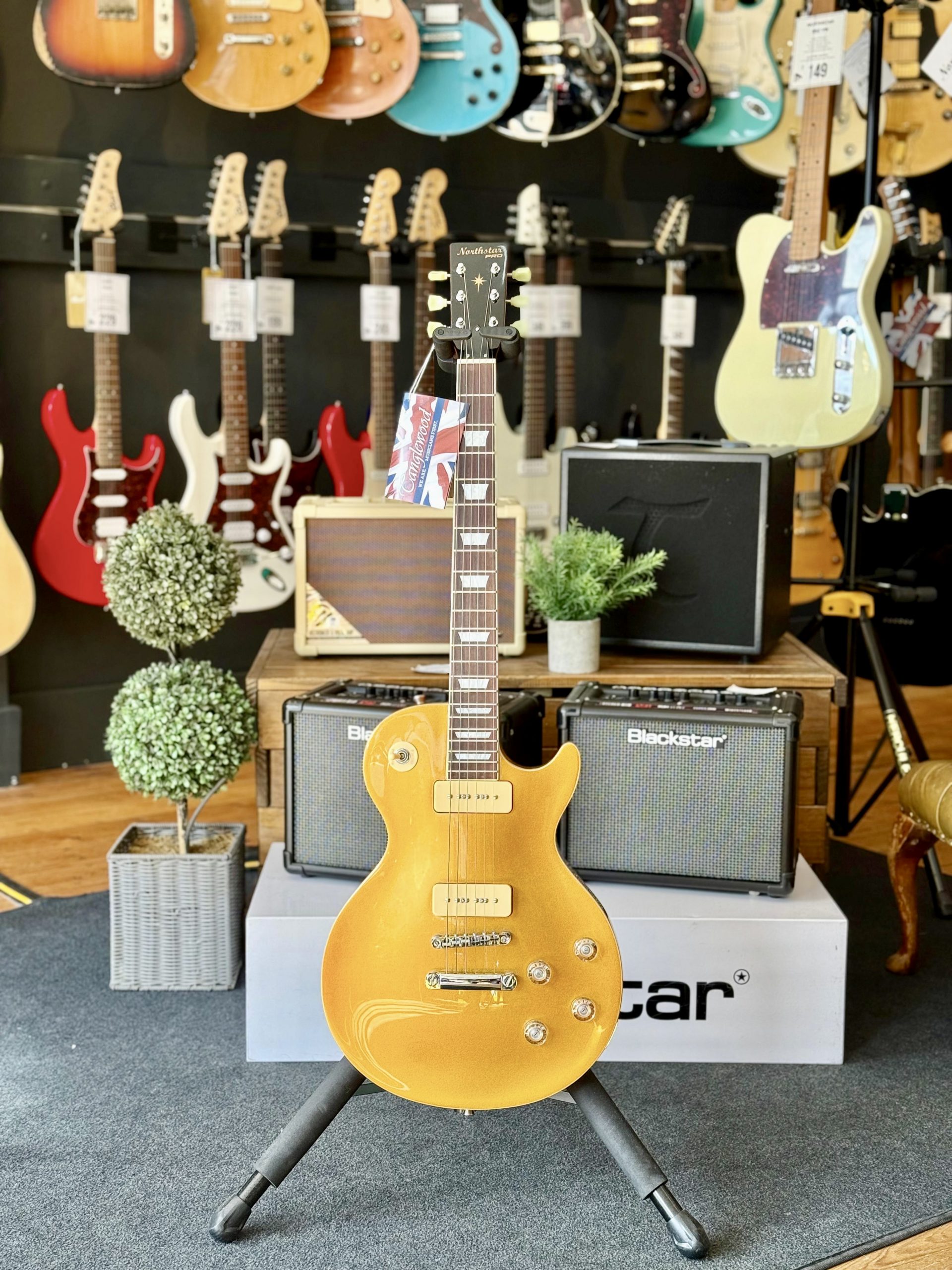 Northstar Pro NSP3GT